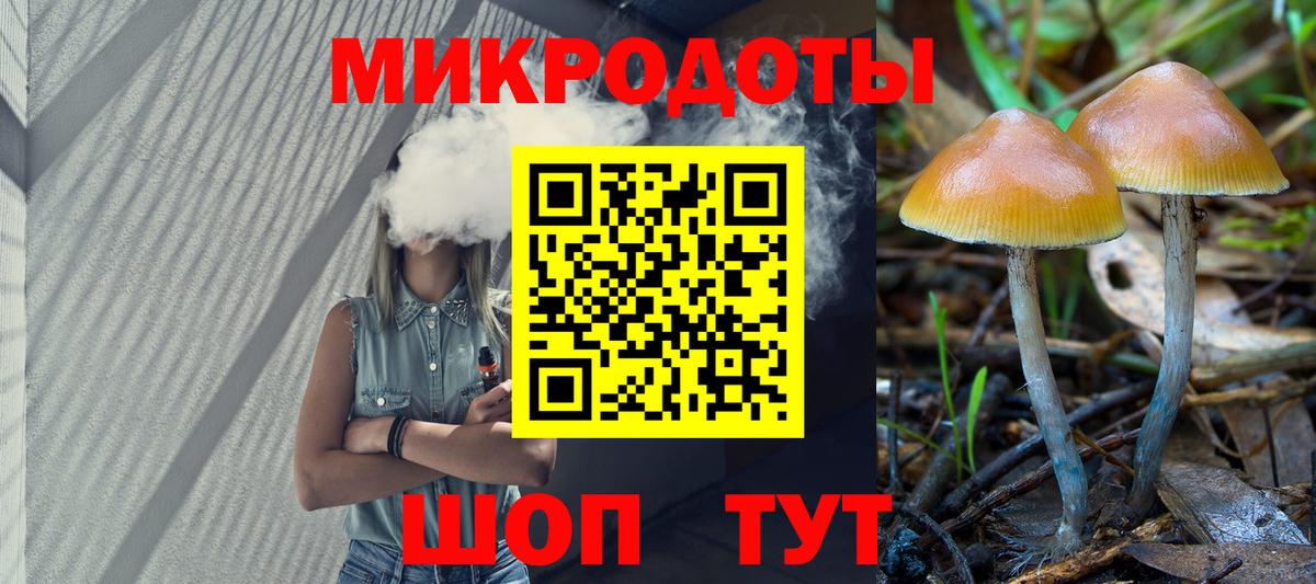 Псилоцибиновые грибы Psilocybine cubensis Черкесск